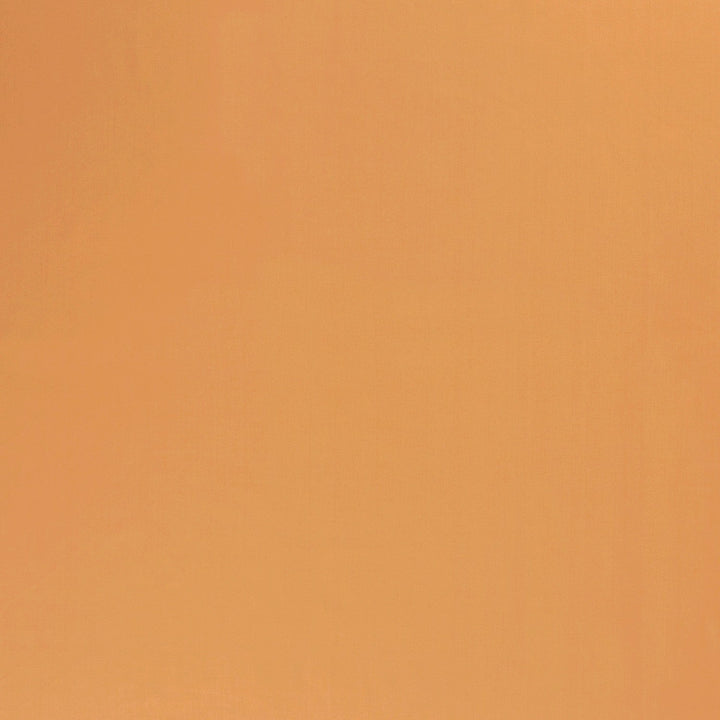 f3020710028c2d73cdff3ae1ab0fefef