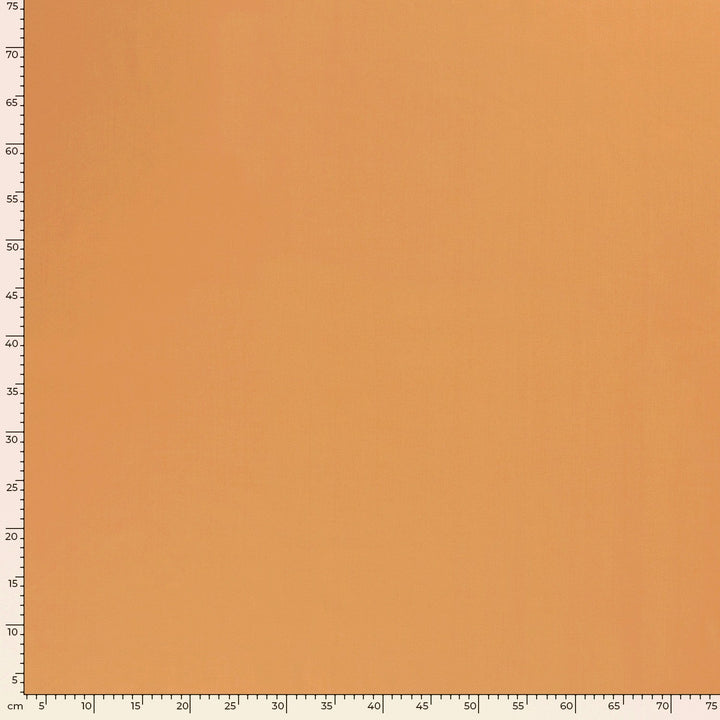 10d24440a55b7cd60fa2cfe628e0d68d