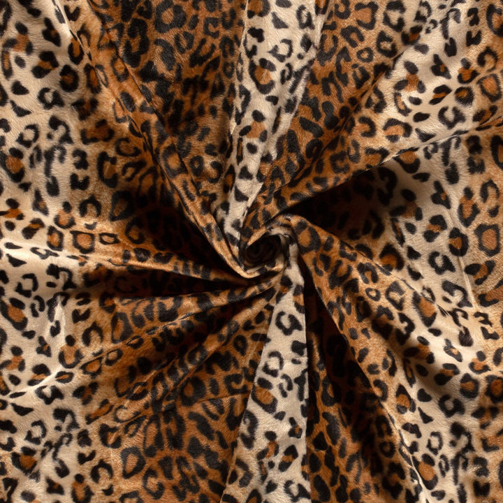 25dd1c93e14c4162a05fefd22652e107