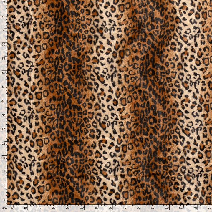 6f63490f380d5053d00e07239a484cb5