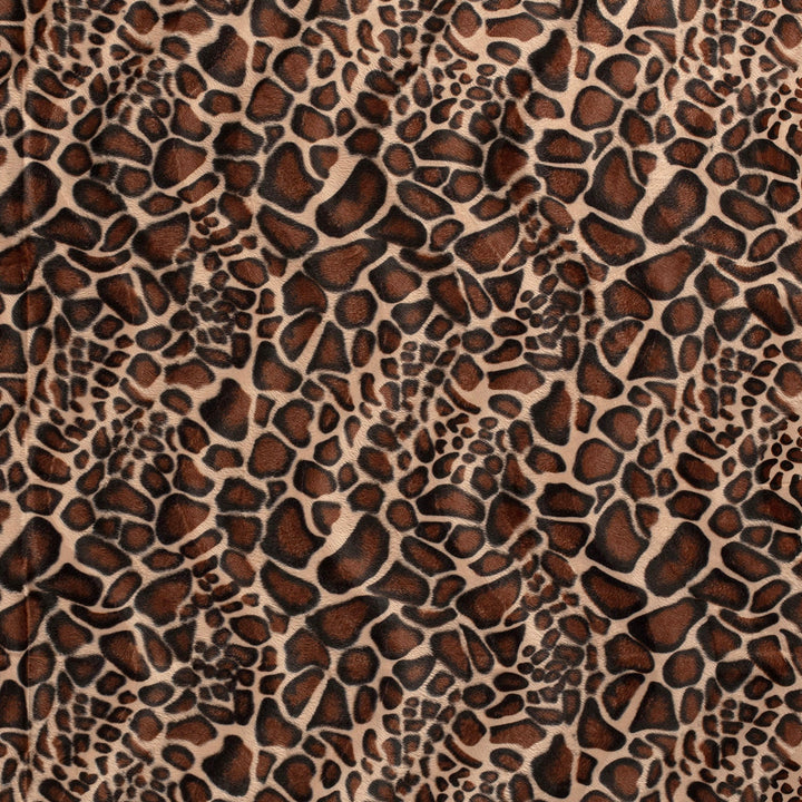 9f1facc2ef3ef70d009cf9751b9de78c