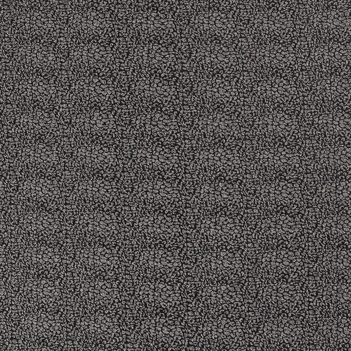 3d82c902a981d2e8aea2f278ec92f151