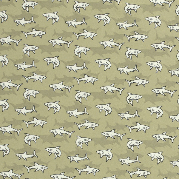 e199d6611d9a574fe7988880ac044cf5