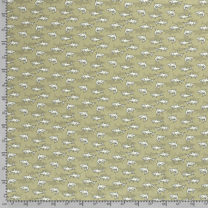 fbd5bad7f1dd08b38a3a40677ad0b5da