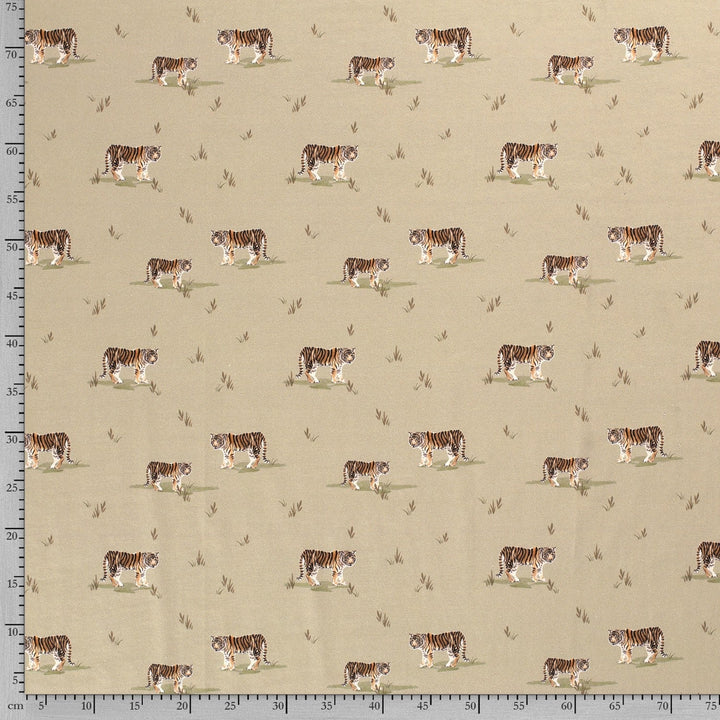 8fc50e44f1ae4976c82bdcf19a722001