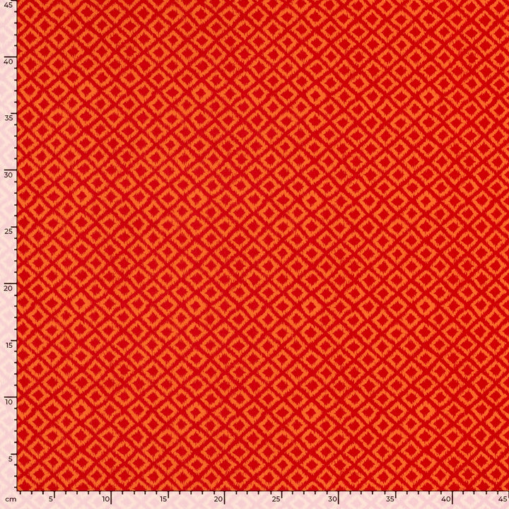 d85198af03cccf339edd008f0ea0b9d9