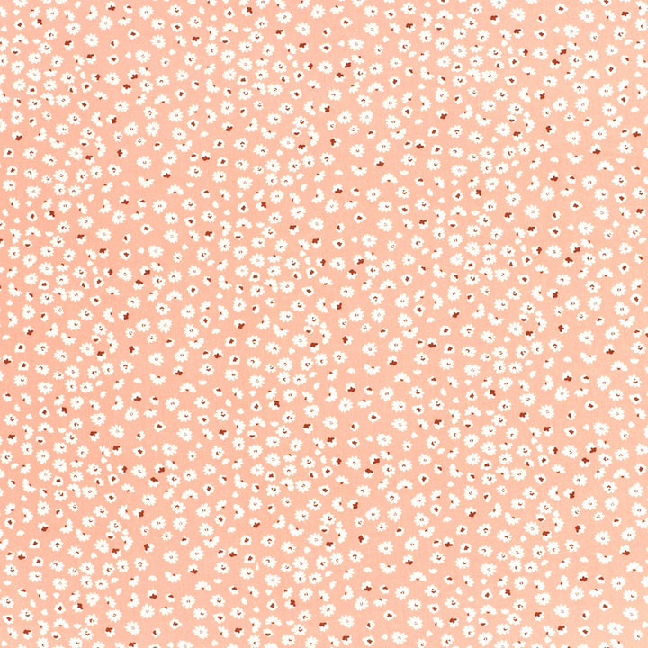 5b1956d01d95a33f23848995acc552ee
