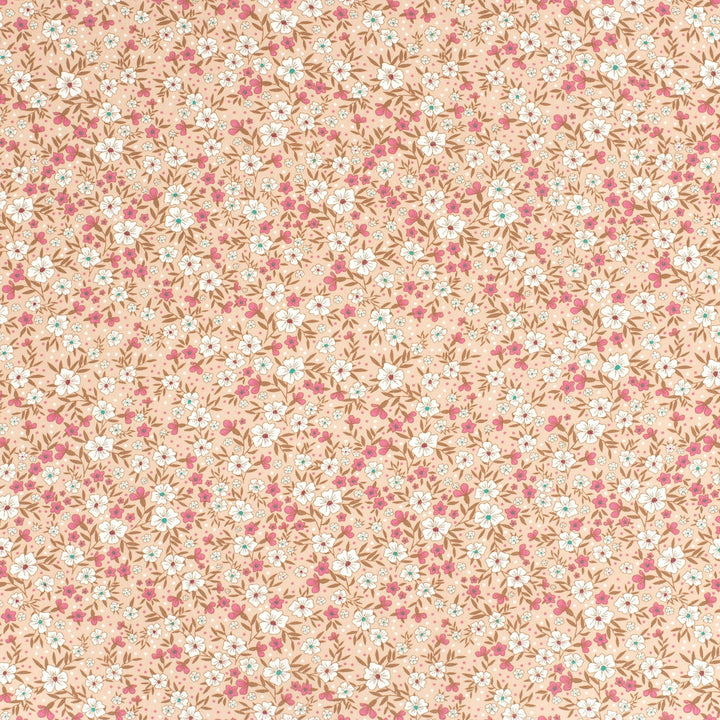 1b865f4dc14a8f27bdbed001e4e7b2b1
